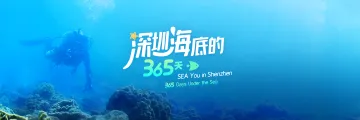 深圳海底的365天