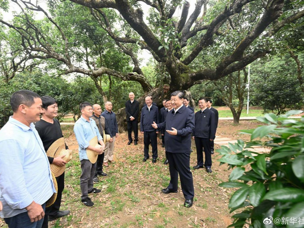 习近平：农村特色产业前景广阔