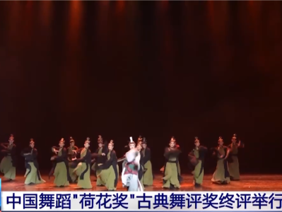 中国舞蹈“荷花奖”古典舞评奖终评举行