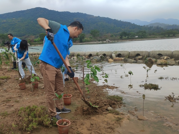 深汕环境志愿者大鹏共植红树