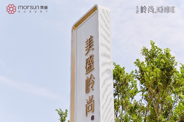 美盛集团深圳首个项目精彩亮相，有望成为龙岗新生板块地产主角