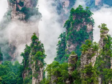 张家界回应“游客在景区跳崖”：初判系自杀，正搜寻跳崖者