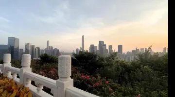 福田旅游狂欢月精品特色线路之四：福桥联动文化游，来一场地道的“深”度“潮”玩