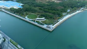 今日开放！“湾区之光”下“上新”滨海生态活力带