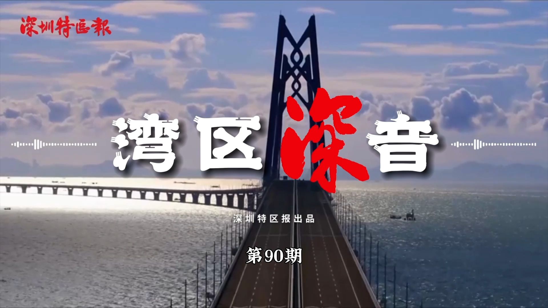 湾区深音丨张玉阁：要素高效便捷流动没有最好只有更好