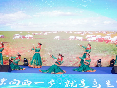 北京向西一步就是美丽大草原 乌兰察布展示四季之美