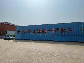 女杂技演员高空表演坠亡之后