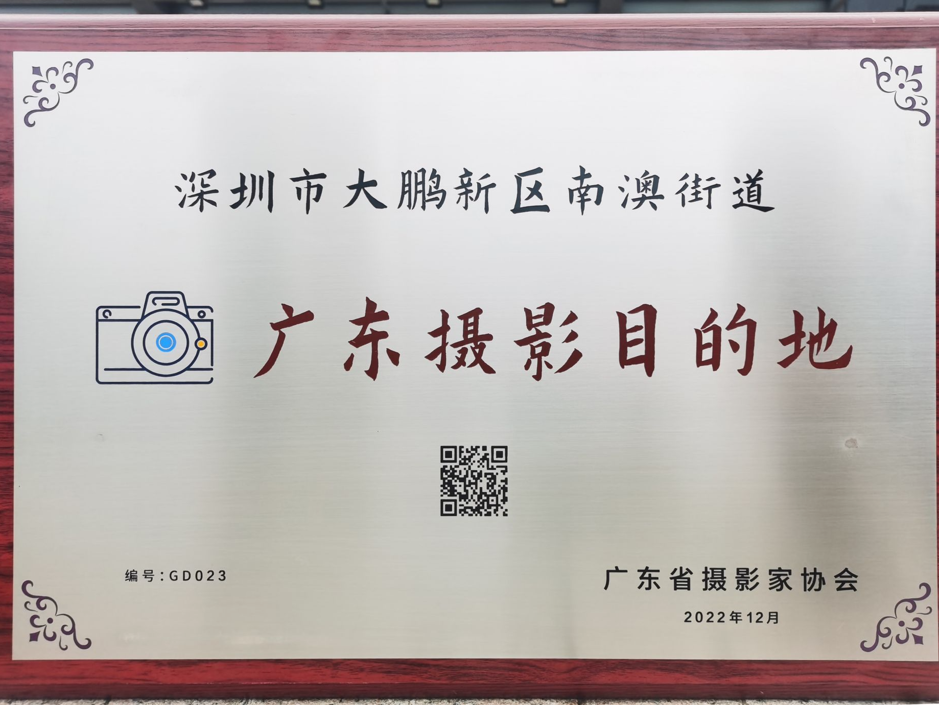 新名片！深圳南澳入选“广东摄影目的地”