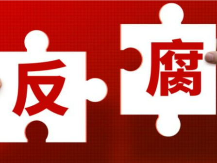 中国赛艇协会、中国皮划艇协会原主席刘爱杰接受审查调查