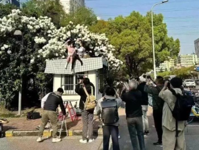 冒险拍“网红照”，出了事故谁负责？