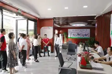 广西田林县平塘乡到访凤凰街道话情谊谈协作促振兴