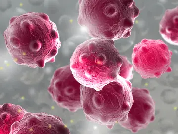 云南景洪：部分游客呕吐腹泻为涉旅场所诺如病毒感染所致