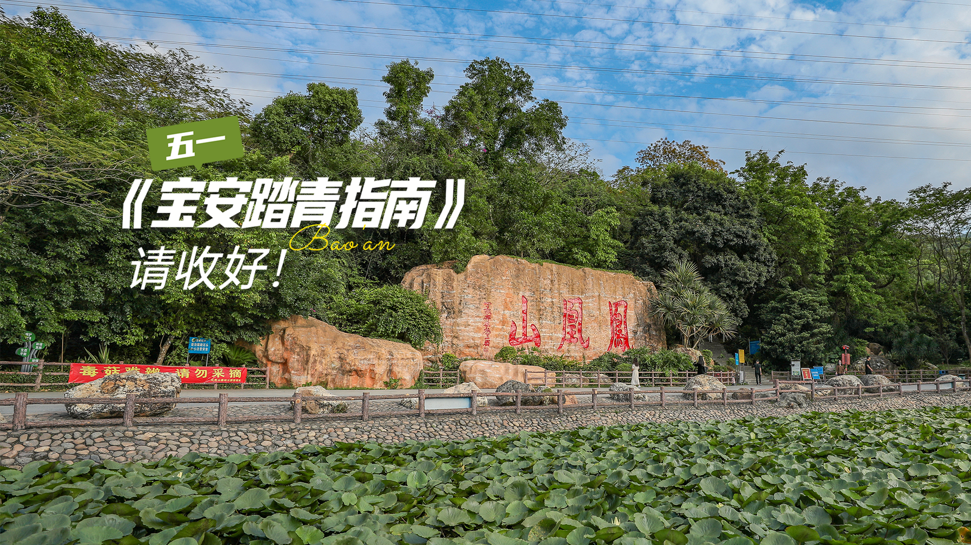 “五一”《宝安踏青指南》请收好，最后“剧”好玩！ 