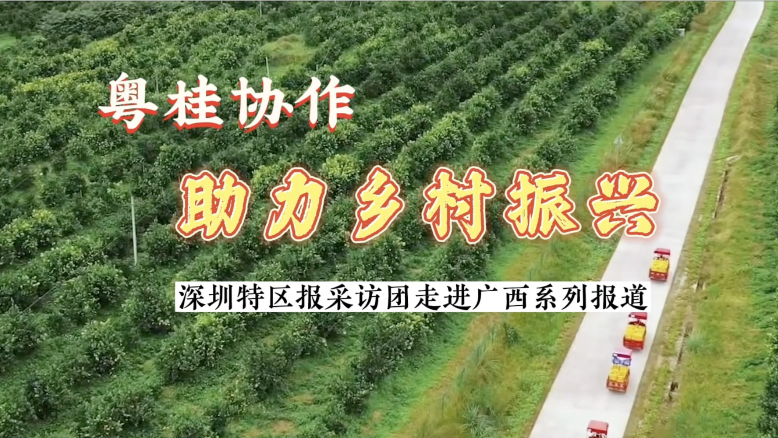 粤桂协作 乡村振兴丨打卡罗城县网红观光小火车 文旅产业促振兴