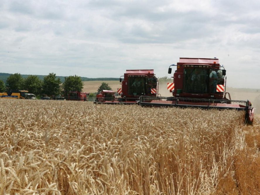 围绕乌克兰农产品 欧盟内部分歧渐显
