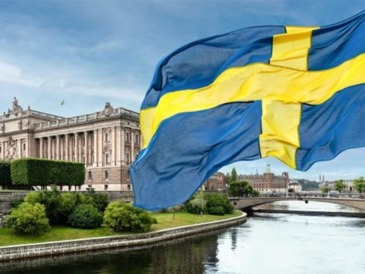 瑞典民众示威反对“极光-23”军演
