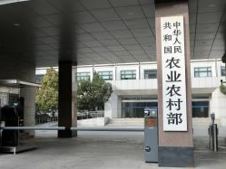 农业农村部：5月1日起开展打击破坏水生野生动物资源行为专项执法行动