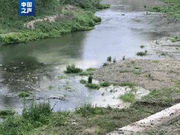 南水北调重要水源区被偷排黑臭污水！当地回应