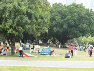 公园露营帐篷区数量翻倍，深圳市民共享公园绿地开放成果