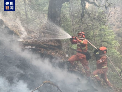 四川稻城森林雷击火灾已全部扑灭，无人员伤亡
