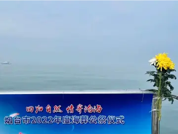 海葬背后：费用从0到13800元，有地方已排到2025年？