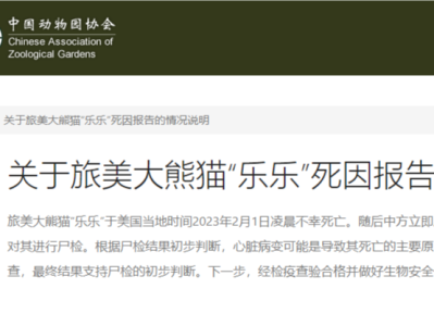 中国动物园协会发布旅美大熊猫乐乐死因报告：支持尸检初判的心脏病变