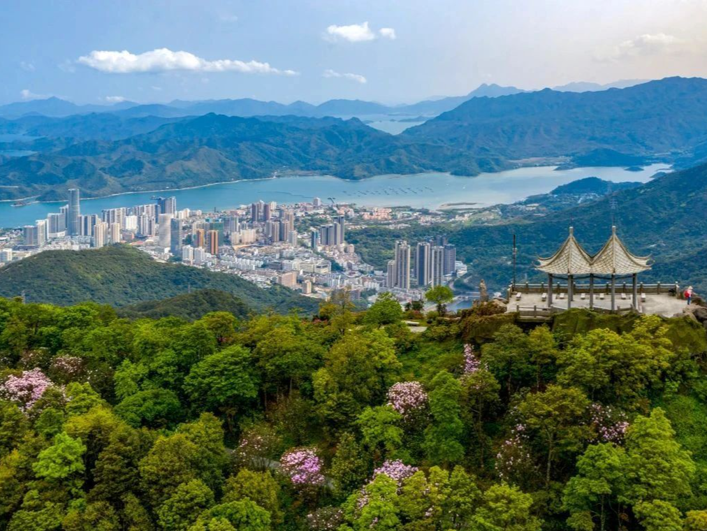要预约吗？会堵车吗？有啥优惠？盐田“五一”旅游热点问答来了！