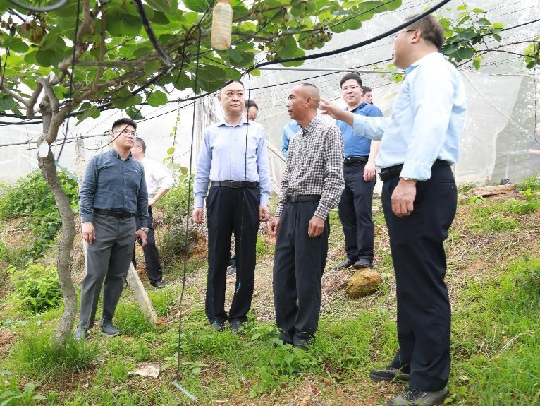 深河共建 圳在帮扶 | 一线调研：“三千一百”计划助和平长塘振兴   