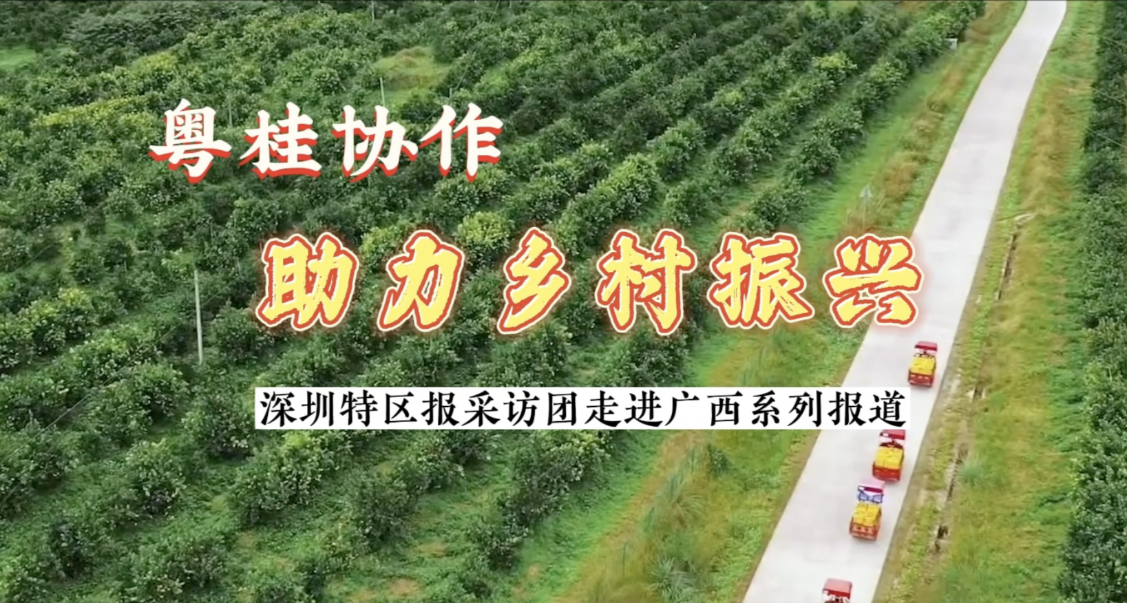 粤桂协作 乡村振兴丨深圳引领乡村示范点：德保县西读村，以“产业+就业”促进乡村全面振兴  