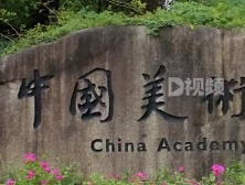 中国美院一老师被指作品抄袭，学校回应：已成立调查组核查