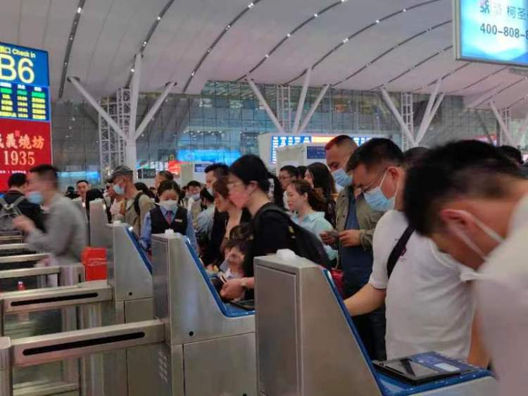 人畅其行，货畅其流！湾区铁路高流量尽显经济新活力
