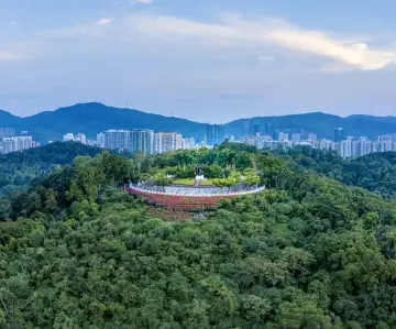 福田旅游狂欢月精品特色线路之一：“五一”来福田，我“氧”你