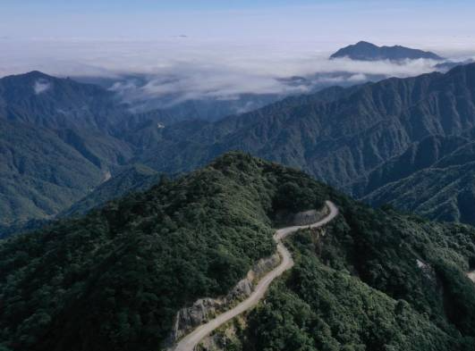 武夷山牵手南岭，广东何时能有自己的国家公园?