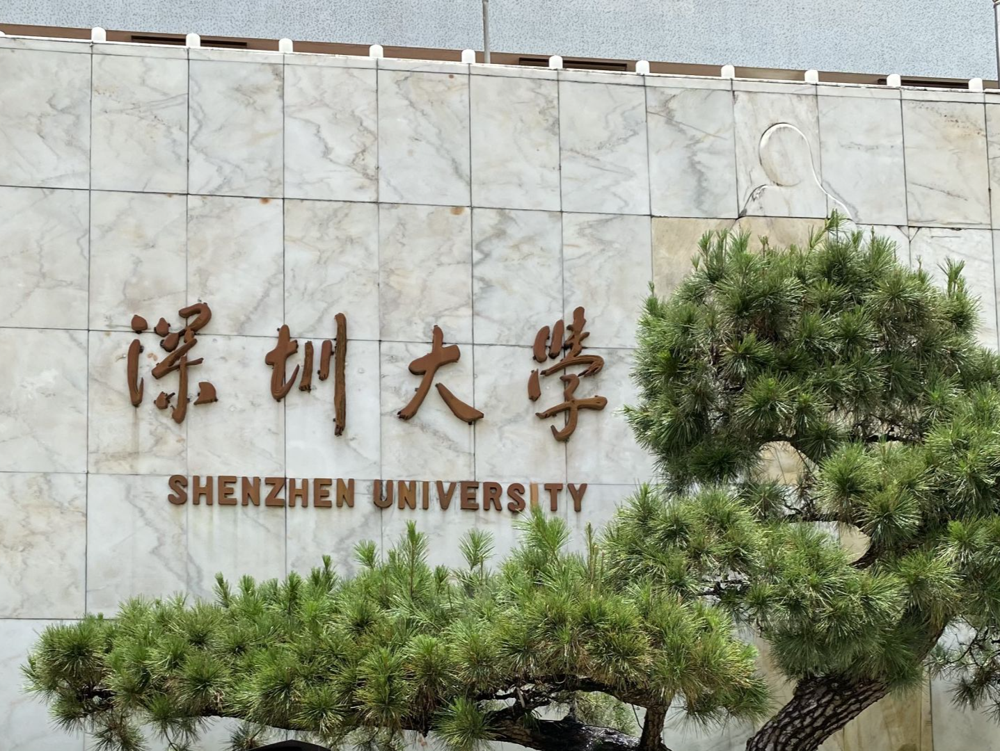 如何深化体教融合？深圳大学这场论坛为体育教学发展建言献策