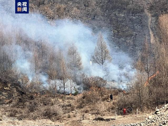 辽宁省本溪市发生山火，现场正在扑救