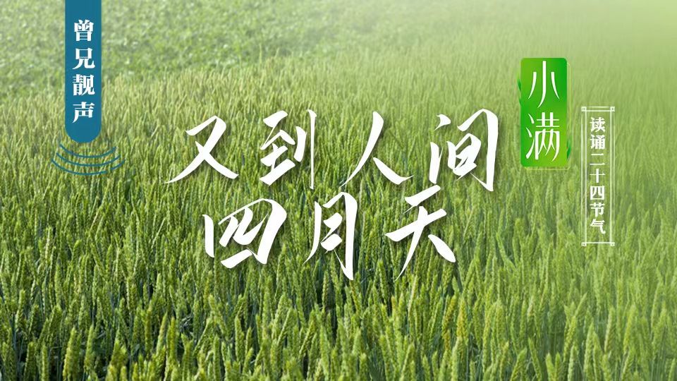 曾兄靓声｜第88期：小满原创散文《又到人间四月天》