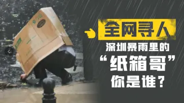 全网寻人！深圳暴雨里的“纸箱哥”，你是谁？