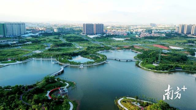 佛山南海狮山镇，以不足全省0.2%的土地，创造出全省约1%的GDP，是中国发展奇迹中一个显著的镇域样本。