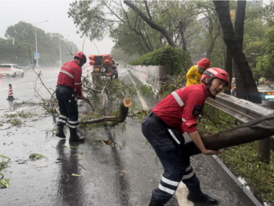 路遇倒伏大树，深圳市退役军人红星应急救援队队员冒雨清障