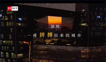 圳青年，不一Young