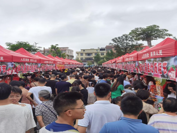 “梅”你不行！2023年汕头市潮阳区金灶镇第九届金灶杨梅节举行