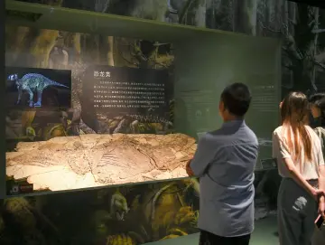 看远古生物“竞自由”！“重返白垩纪——热河生物群特展”在深圳博物馆开幕