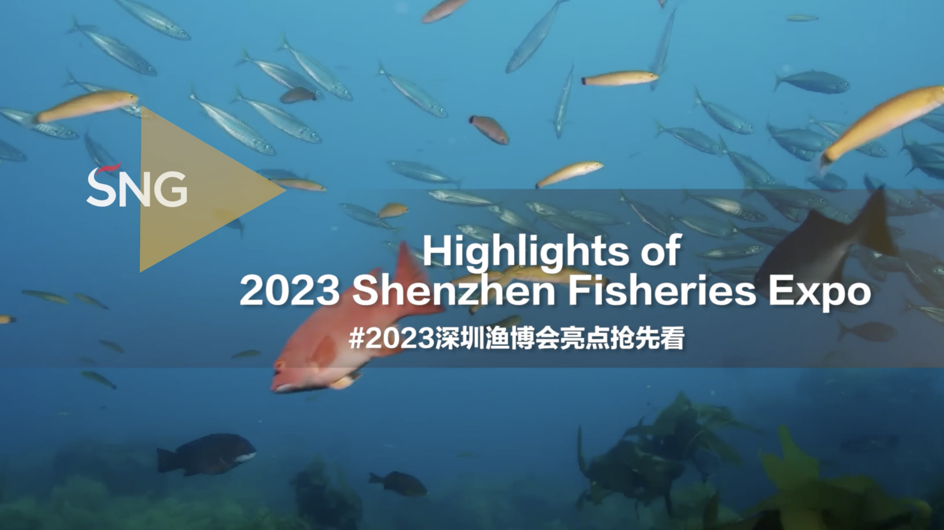 2023深圳渔博会亮点抢先看！