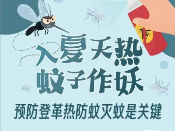 入夏天热，蚊子作妖，预防登革热防蚊灭蚊是关键
