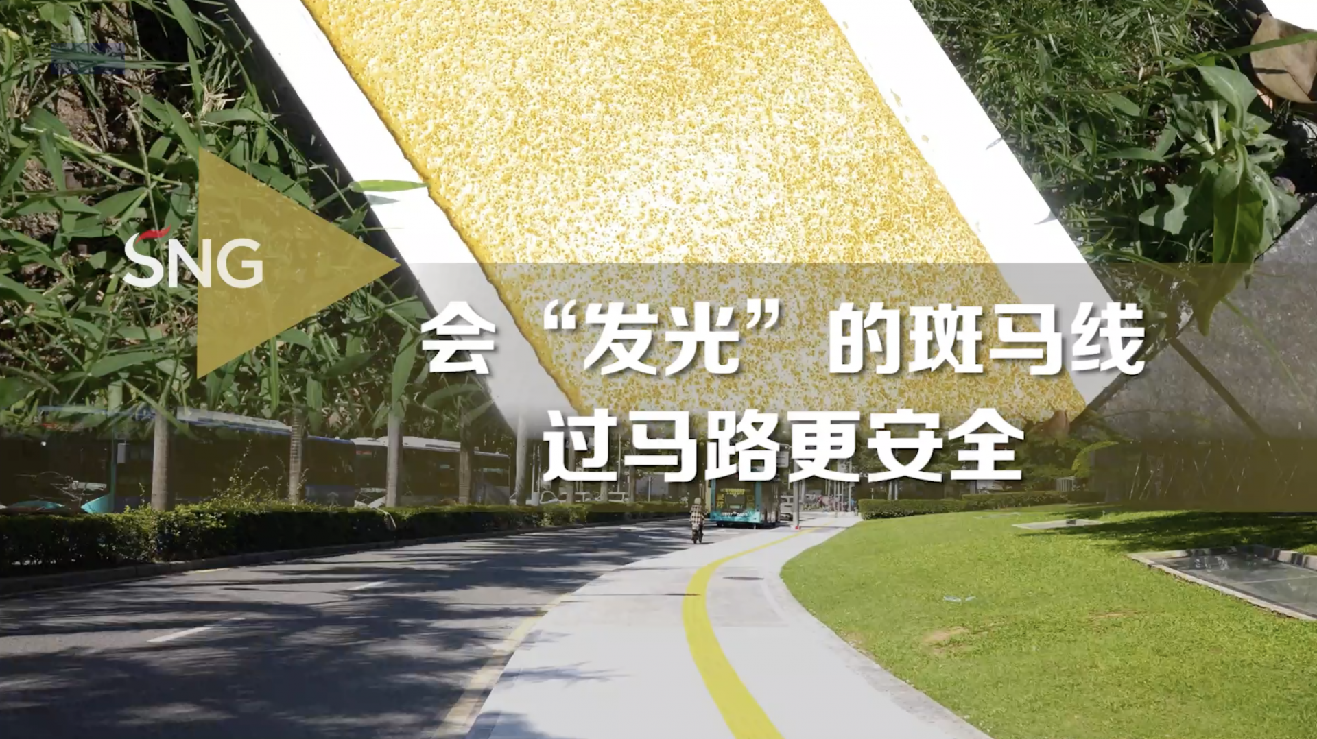 深圳的斑马线会发光