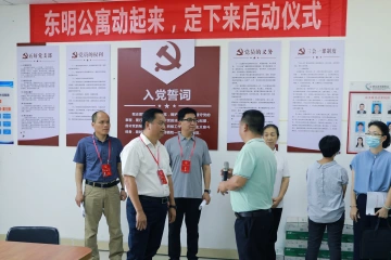 新湖街道人大工委组织人大代表开展专题调研视察活动