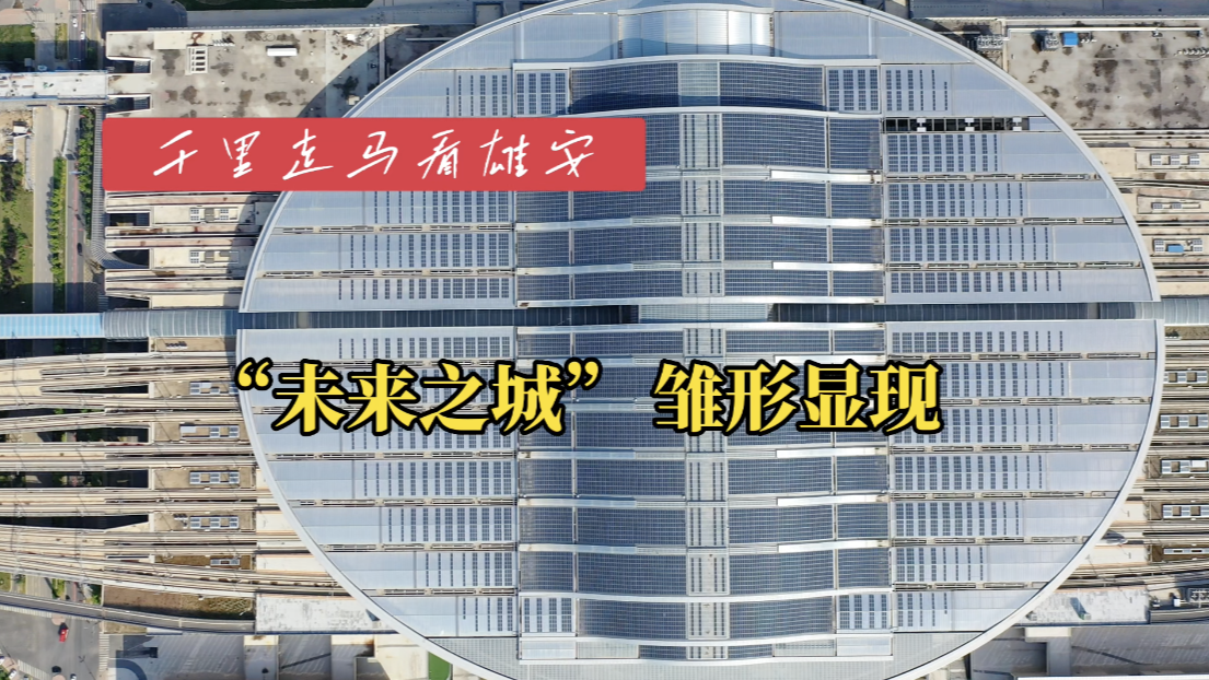 千里走马看雄安｜“未来之城”雏形显现 深圳“雄漂”冲劲十足