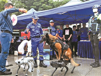 广州市全国防灾减灾日活动举行 功勋搜救犬循味寻人