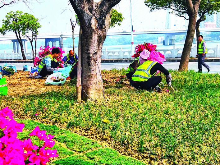 深圳城管携手多方开展公益项目，向一线工作者提供急救技能培训