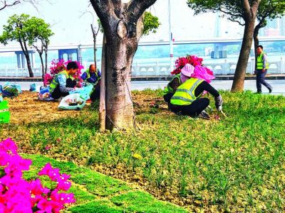 深圳城管携手多方开展公益项目，向一线工作者提供急救技能培训